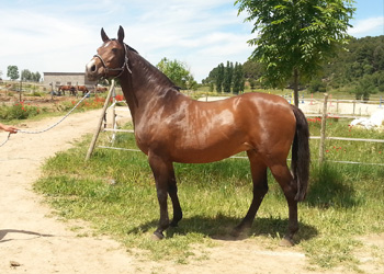 Caballa