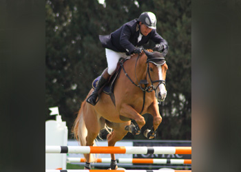 Quiona de Olid